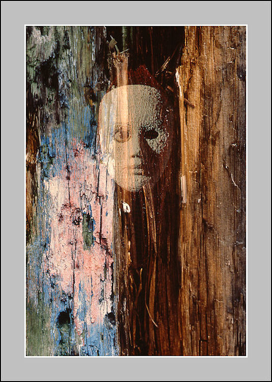 SPIRIT OF WOOD