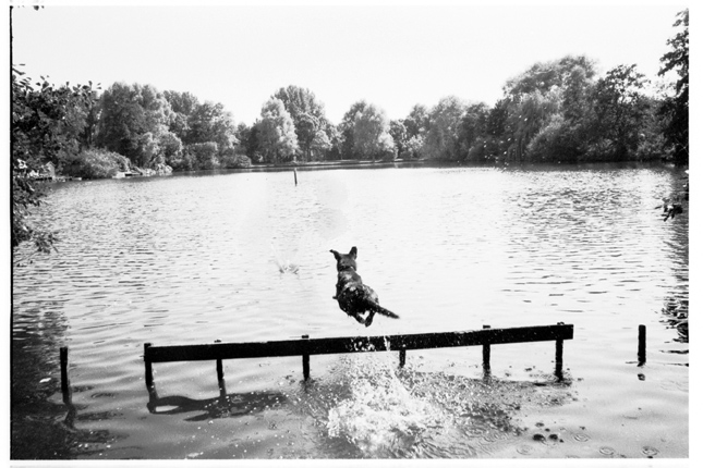 Splash,Splash