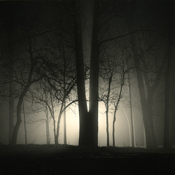 Split Tree