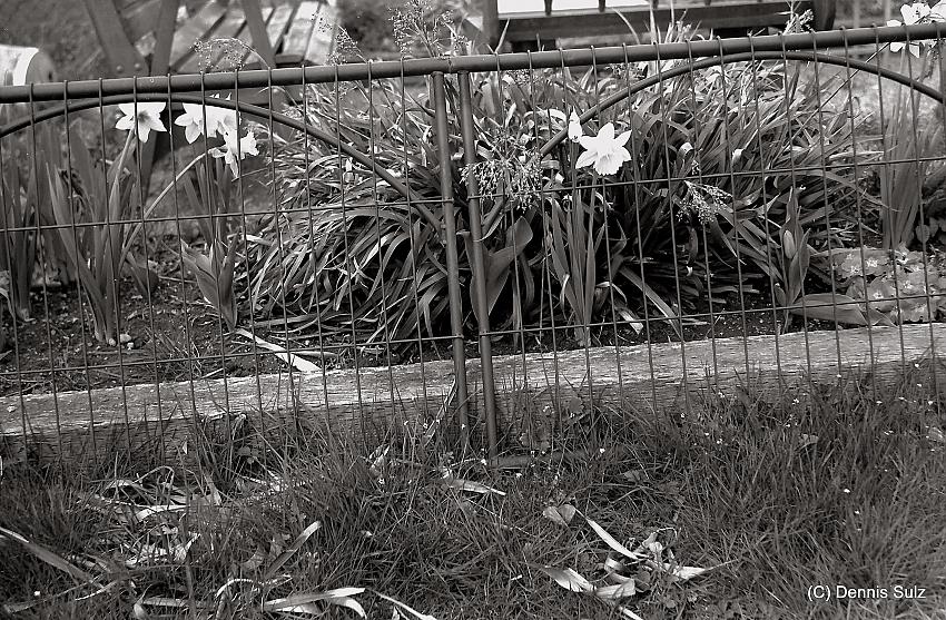 Spring 2011