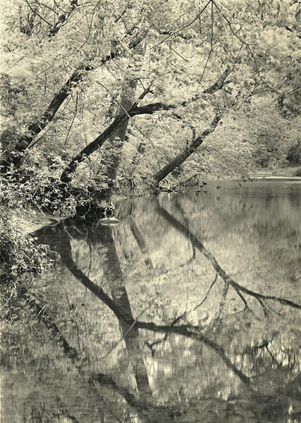 Spring Along Eagle Creek