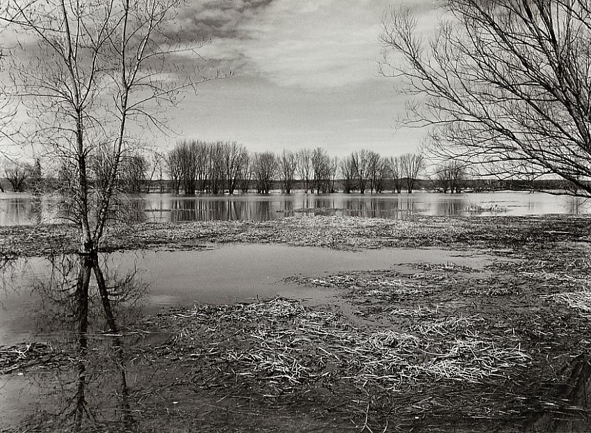 Spring Flood