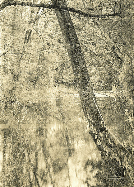Spring Foliage, Eagle Creek