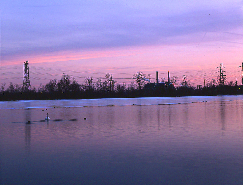 Spring Lake, NJ