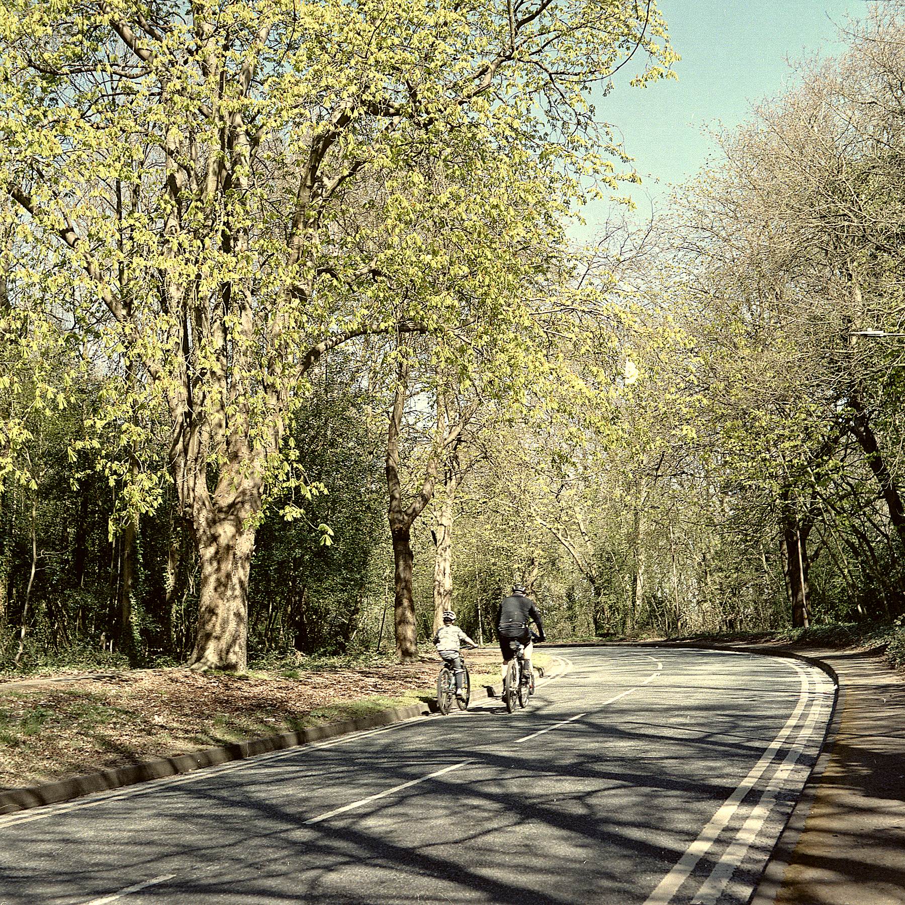 Spring Riders