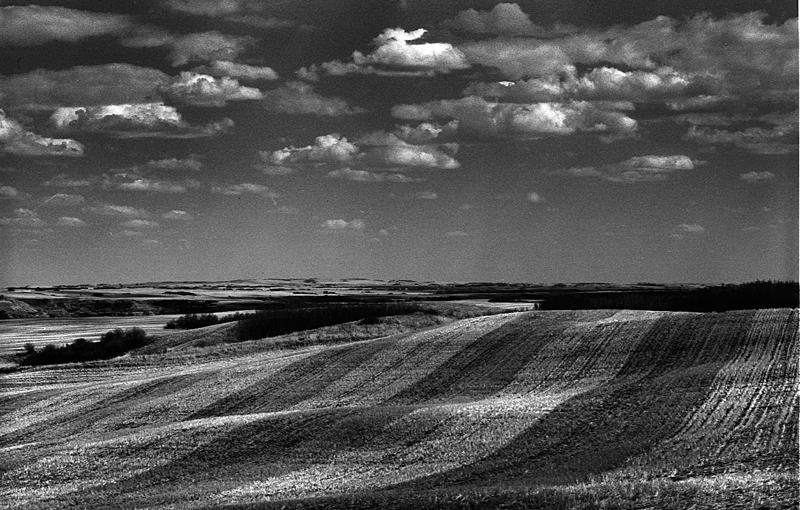 Spring Seeding