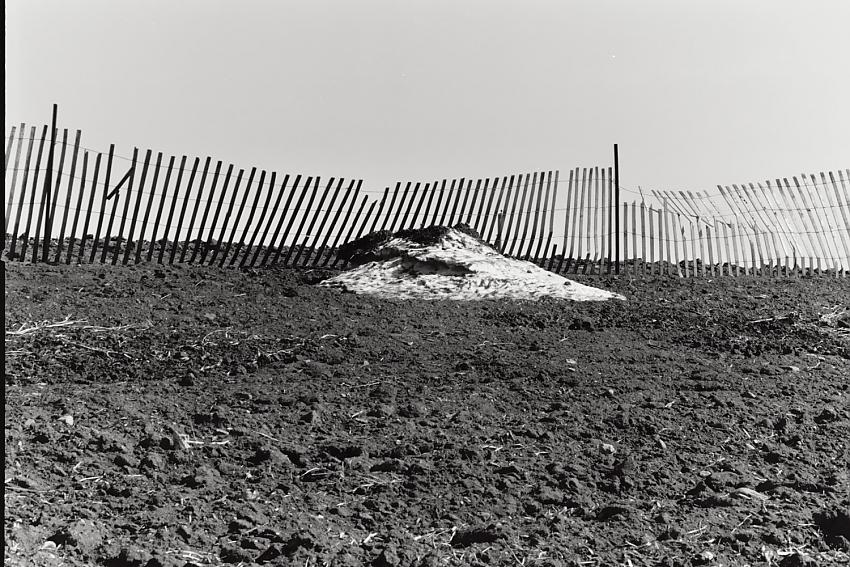 spring snow fence