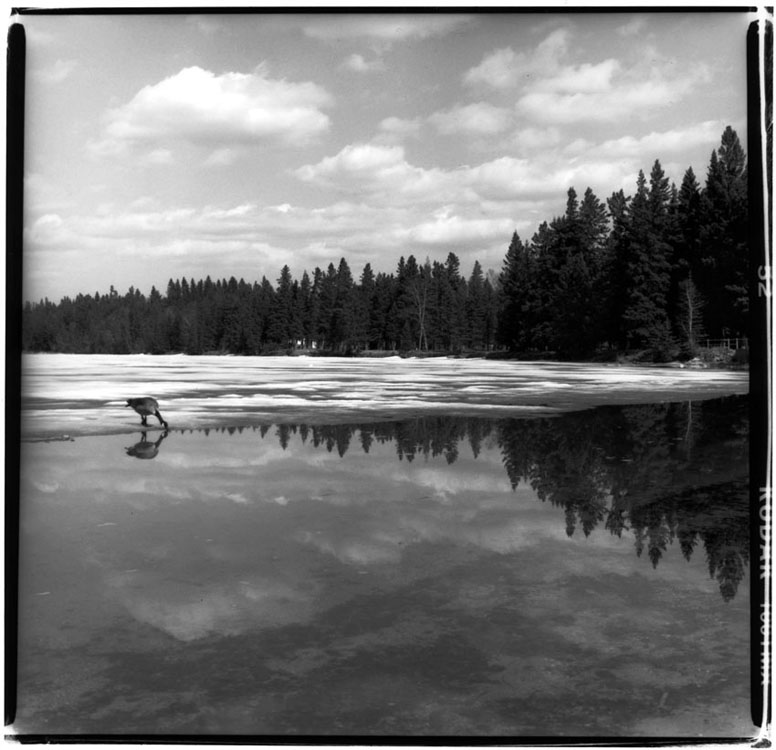 Spring Thaw, Clear Lake