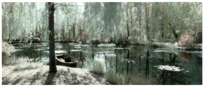 Springtime Monet's Garden