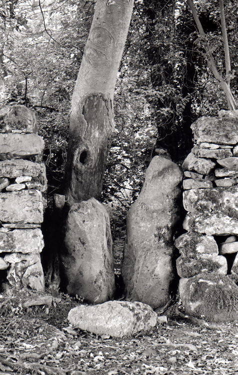 Squeeze Stile