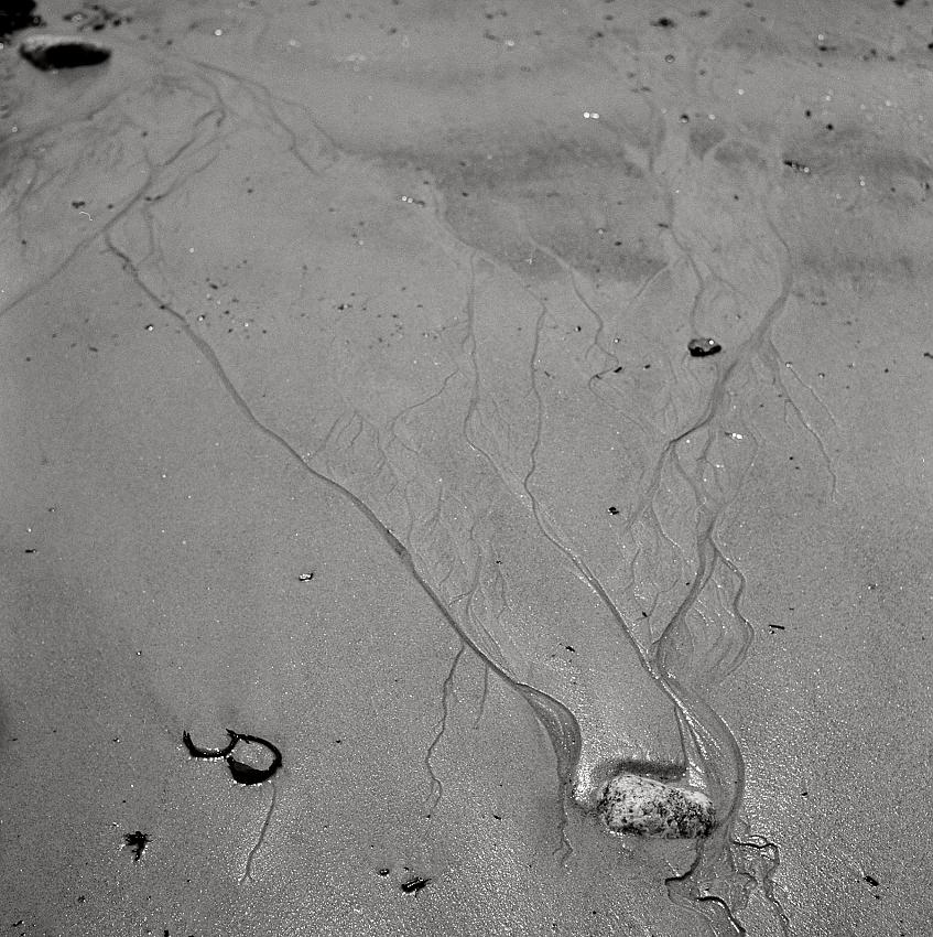 squirrel island maine