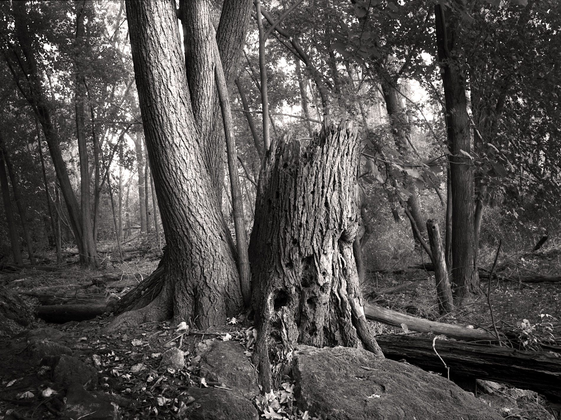 St Croix Boom Site