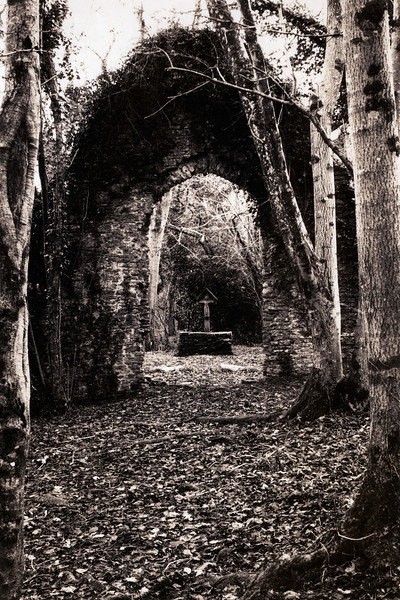 St Lukes Abbotsbury 01