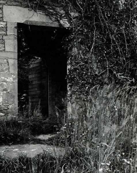 St Mary's Church - Tintern 2