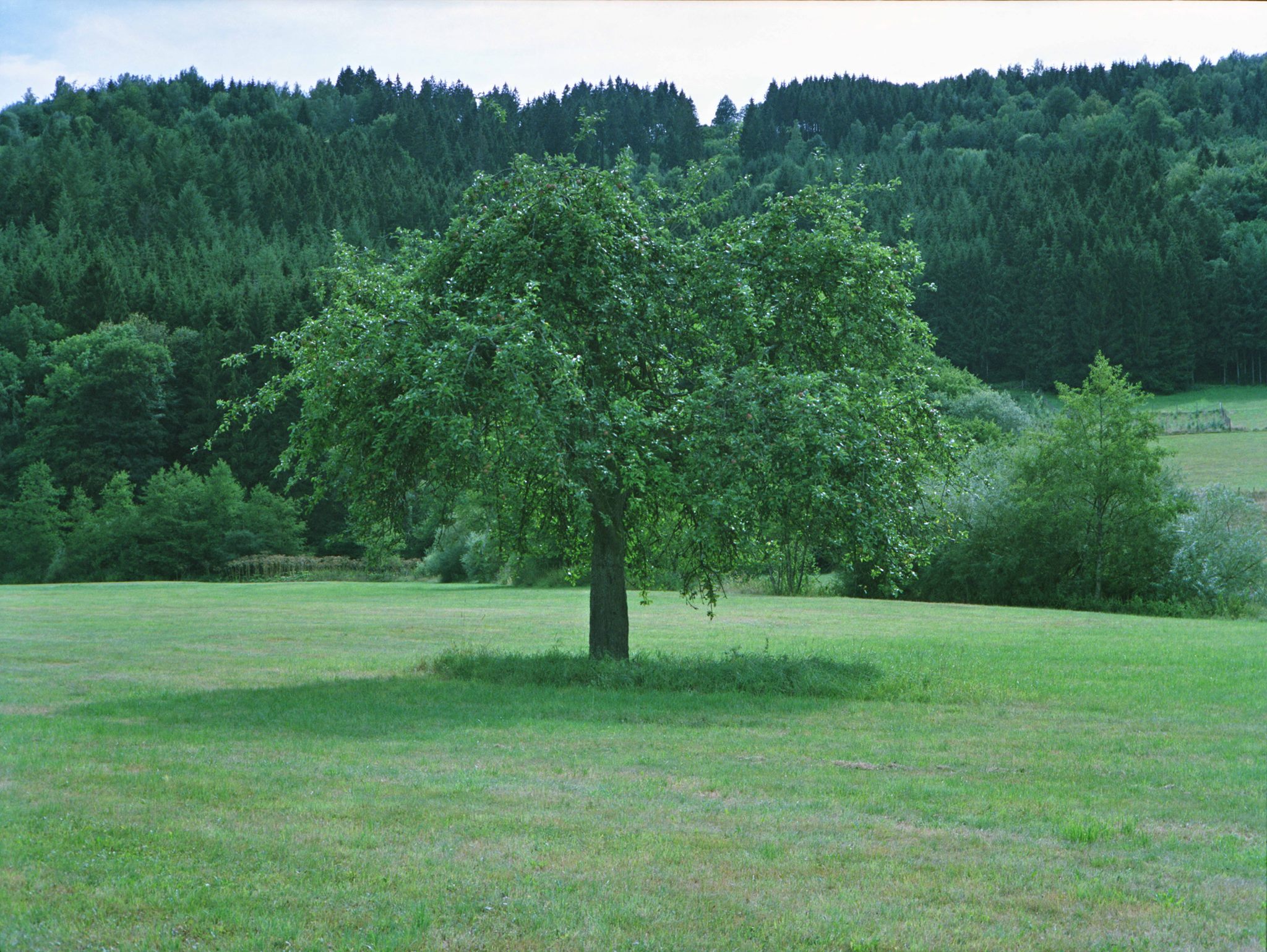 St. Thomas, Germany -1