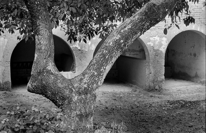 Stables In San Sebastian