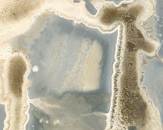 Stainscape Close Up Sample 2