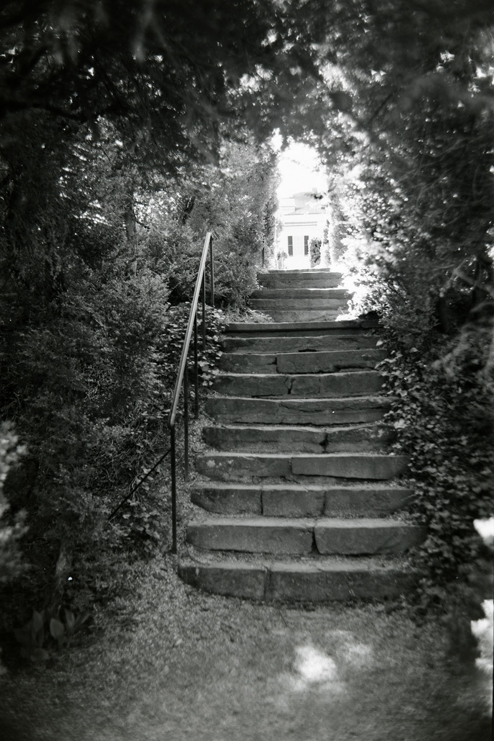 Staircase, Gardens, Oatlands Plantation