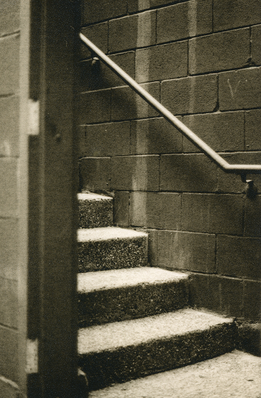 Stairway with selenium