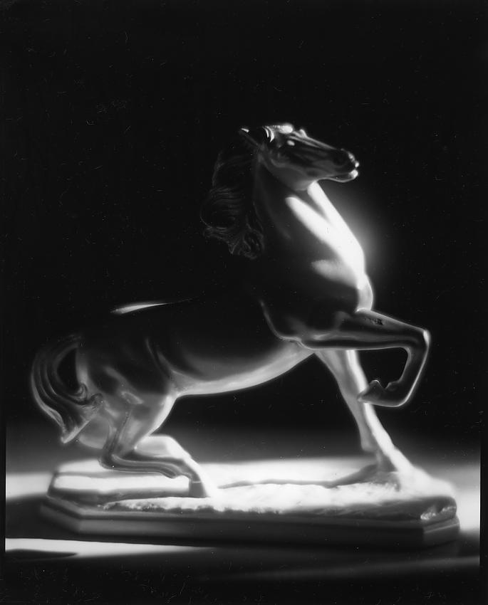 STALLION