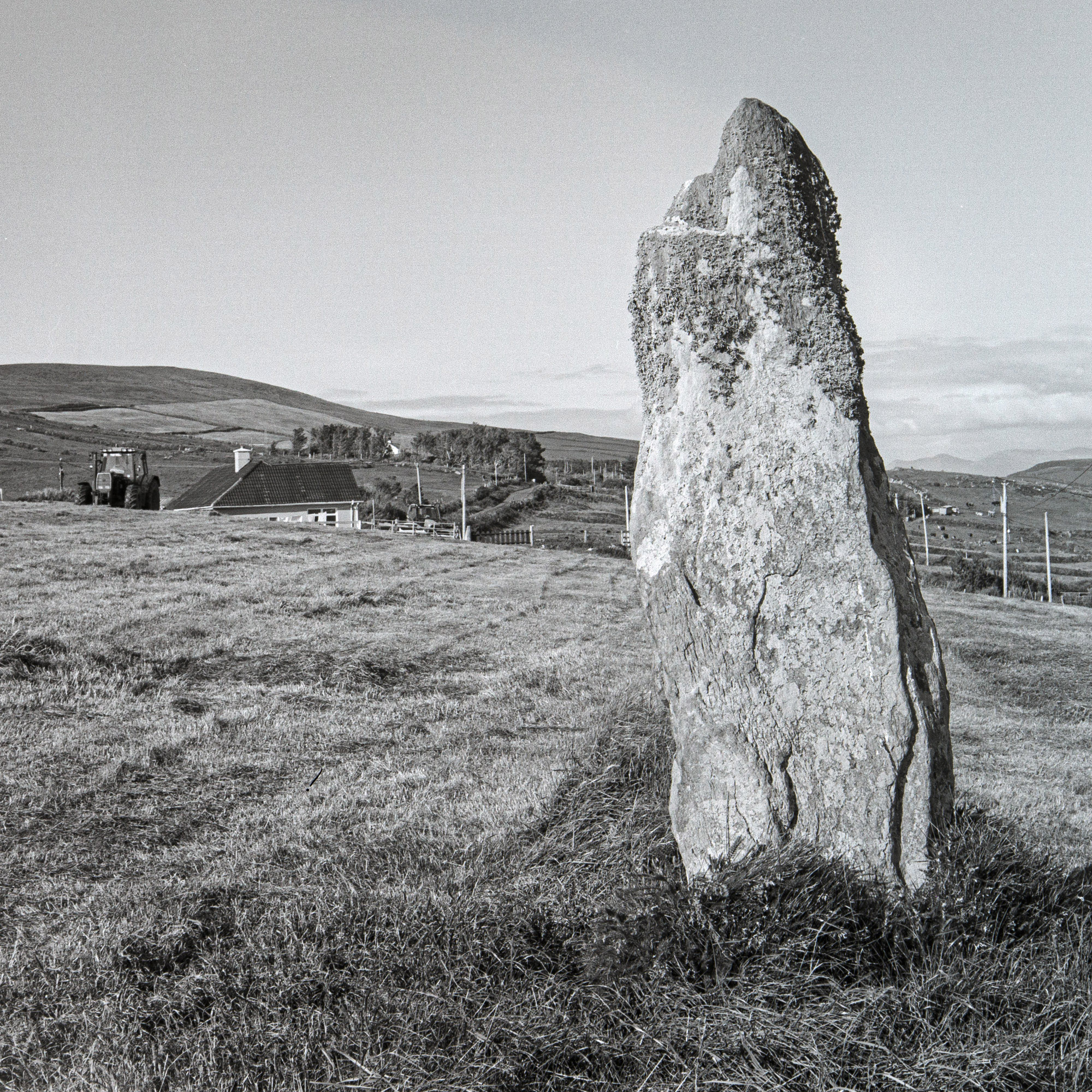 Standing Stone on Farmland