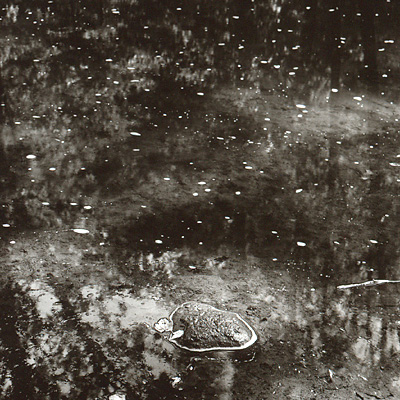Stardust - Little Things