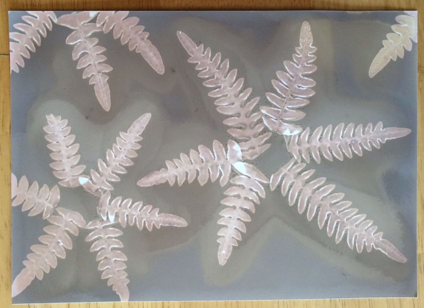 "Starfish"