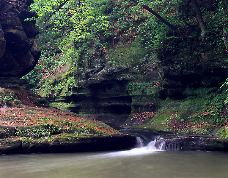 Starved Rock SP  - Tom Johnston