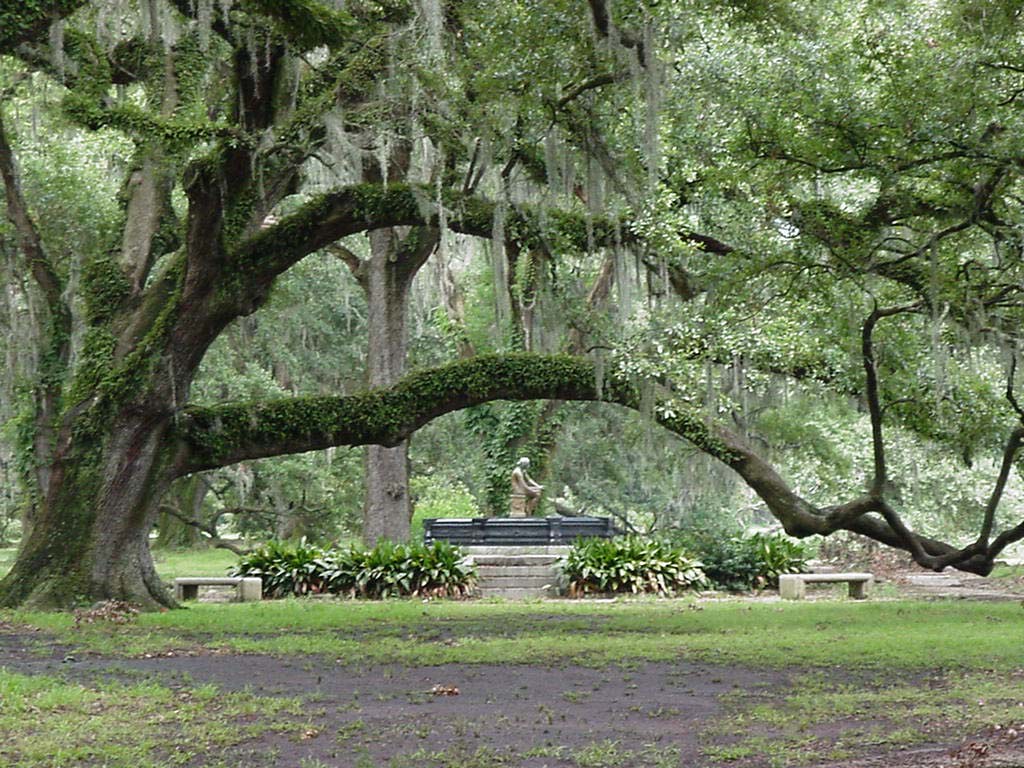 Statue