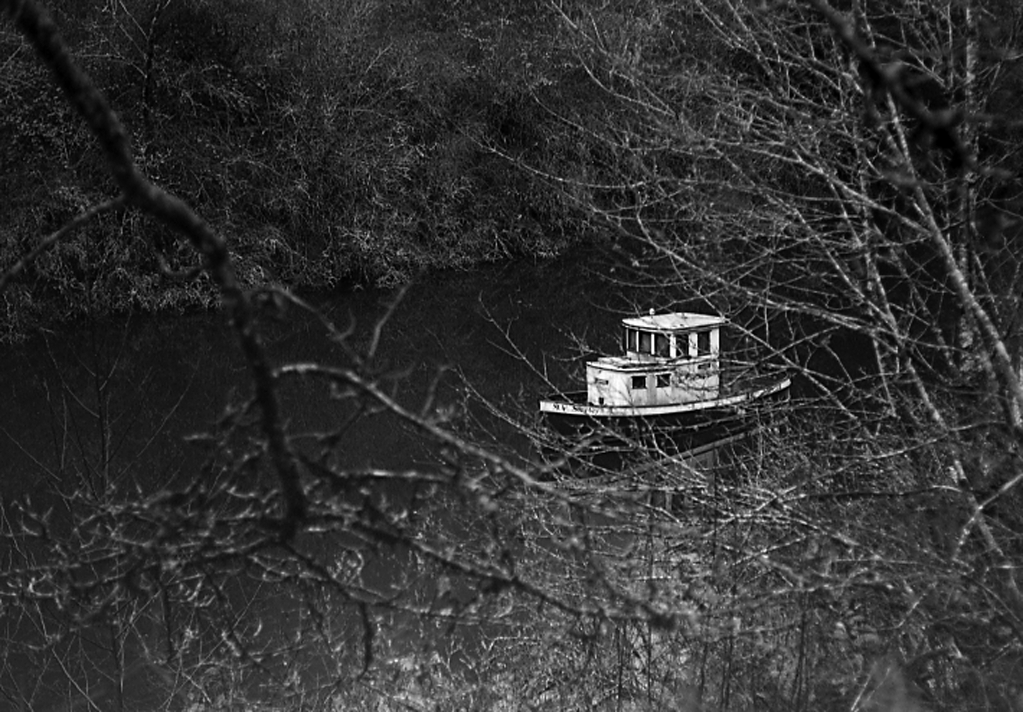 Stave Lake Tug