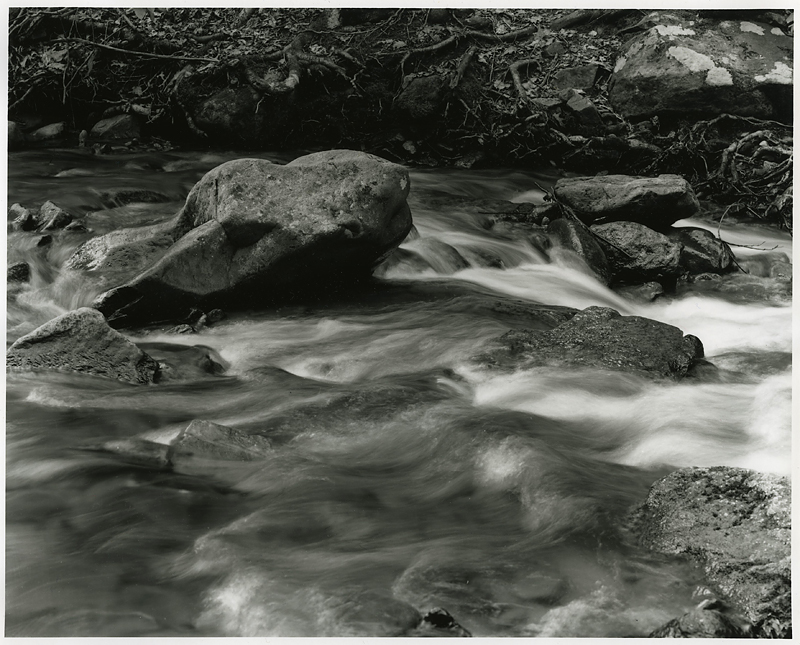 Steady against the flow