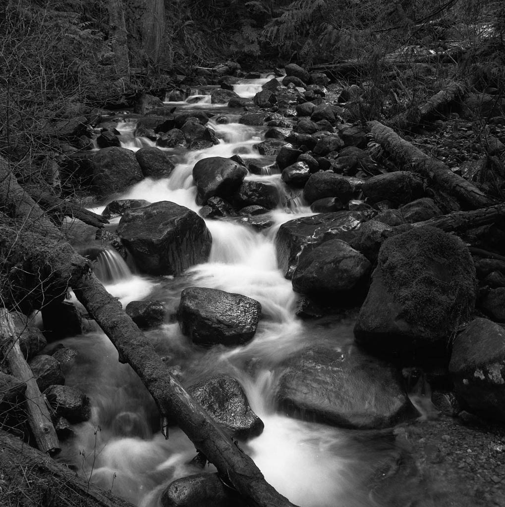 Steelhead Creek