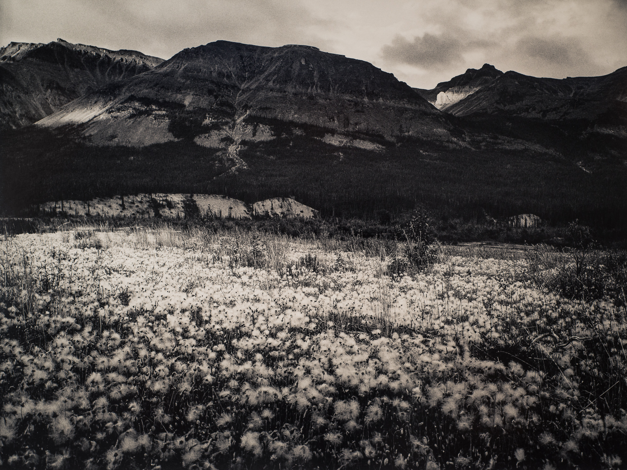 Stelfox Mountain, Keele River, NWT