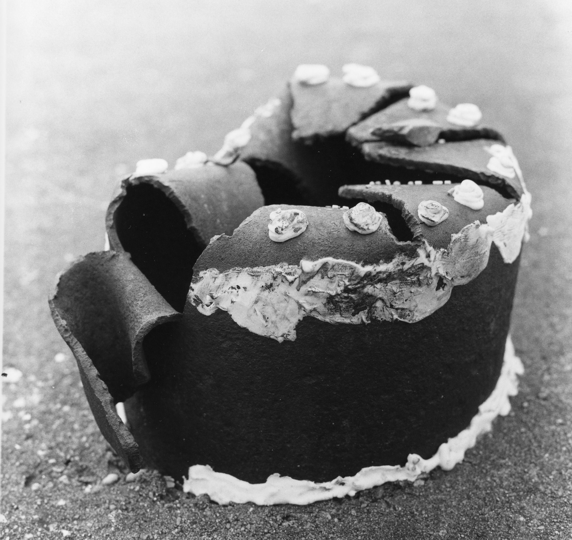 Stella's Cake