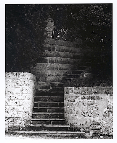 Steps Bermunda 2007
