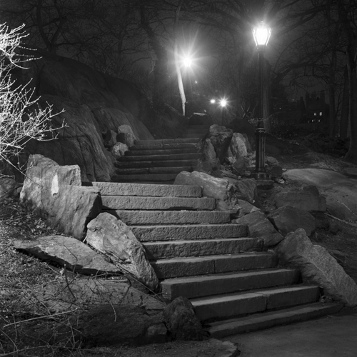 Steps - Central Park