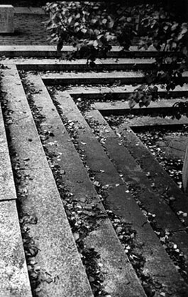 steps