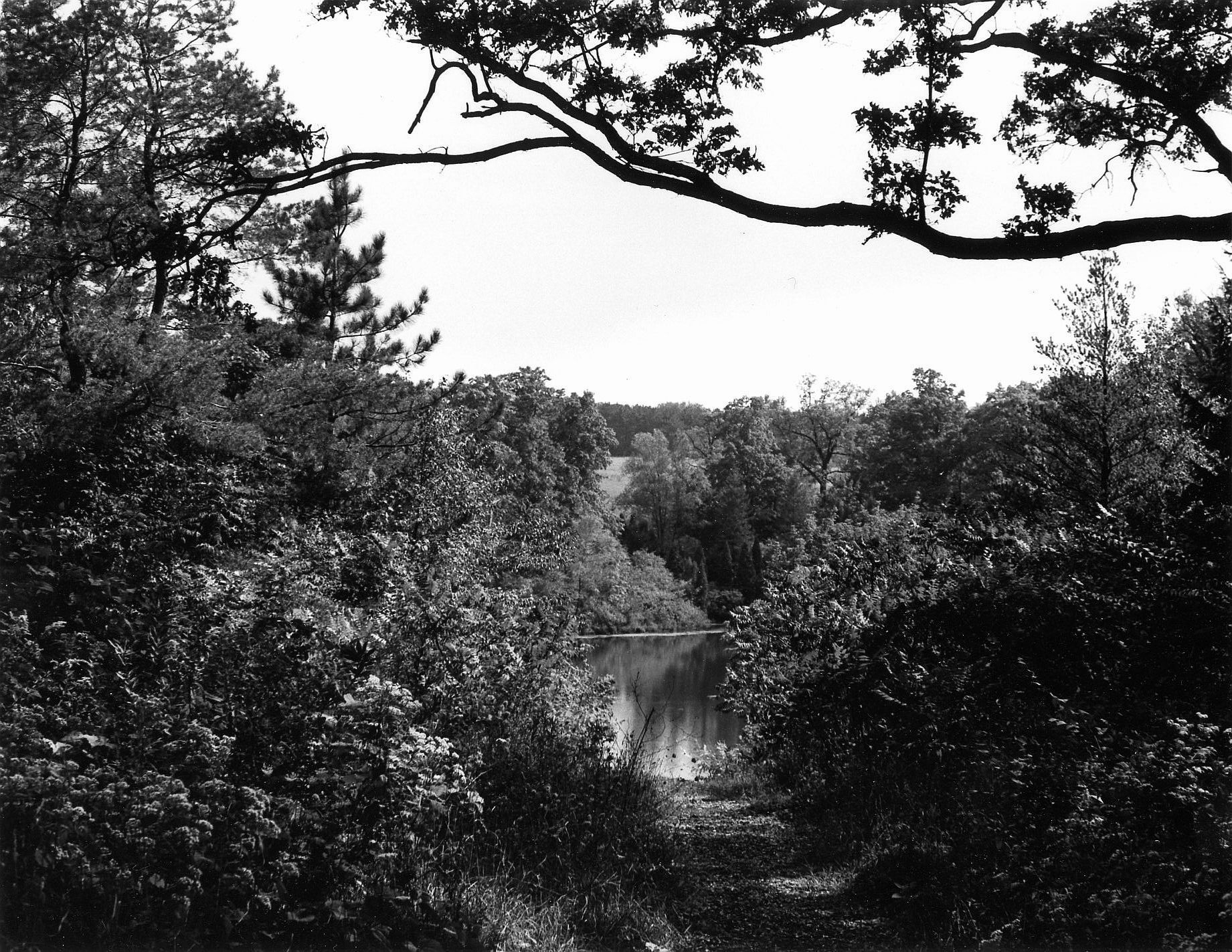 Sterling Pond