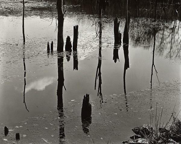 Stick Factory #2