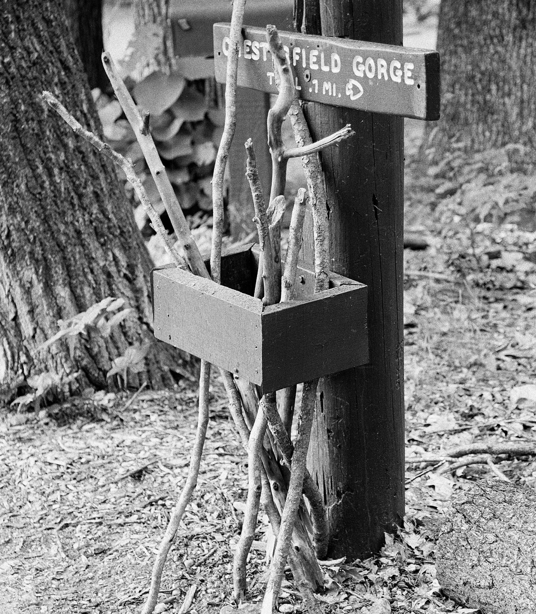 Sticks