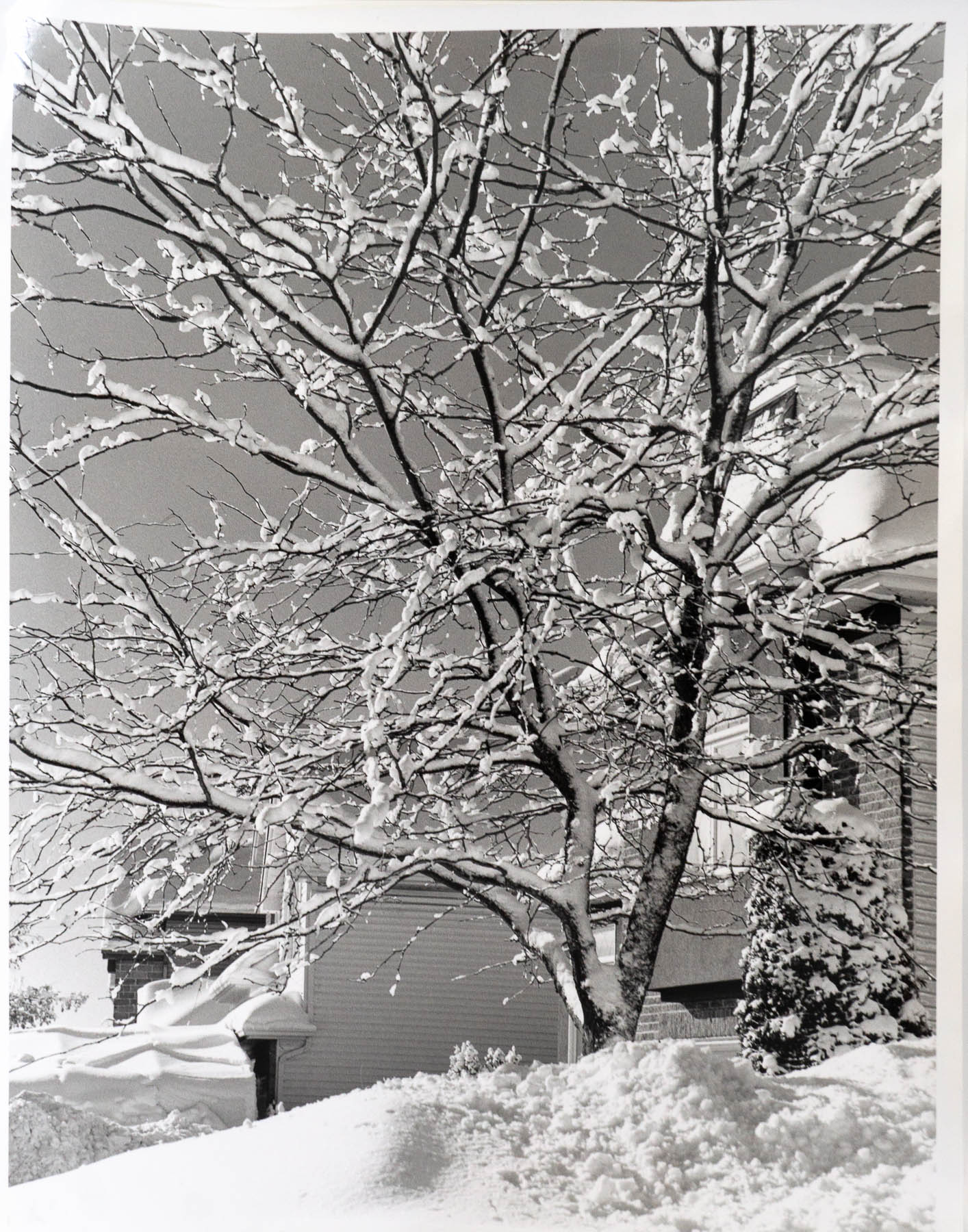 Sticky snow