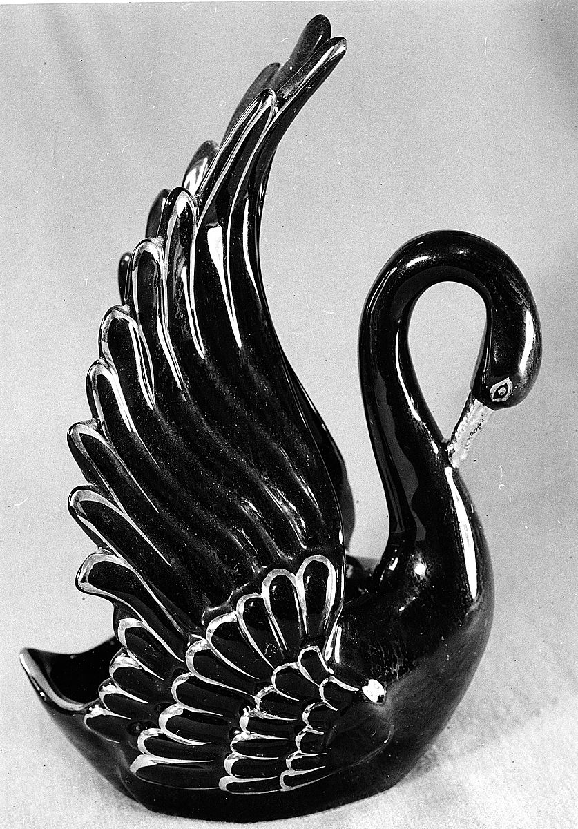 Still-Life 01 : Black Swan
