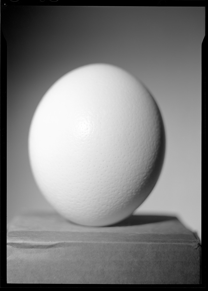 Still Life - Ostrich Egg, Cardboard Box