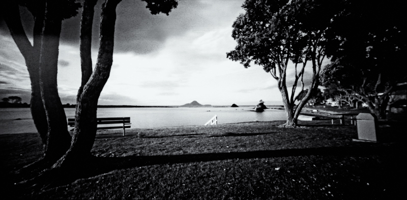 Still Life Waiting