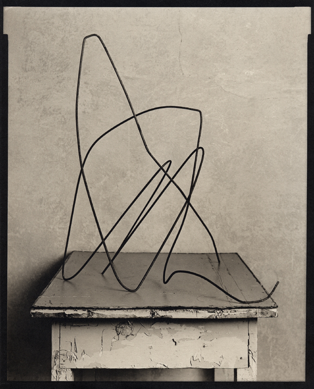 still life with bent wire