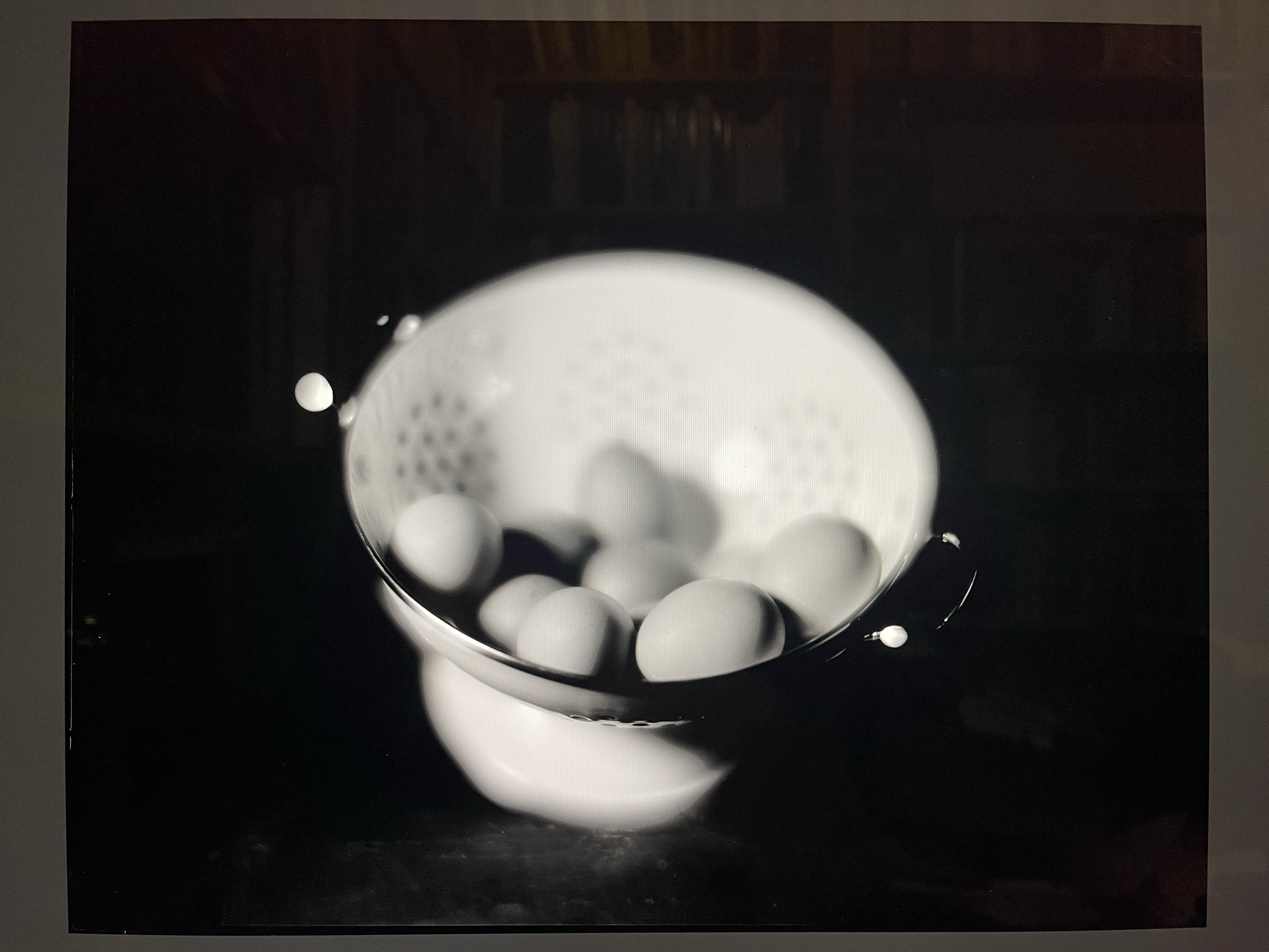 still life with eggs