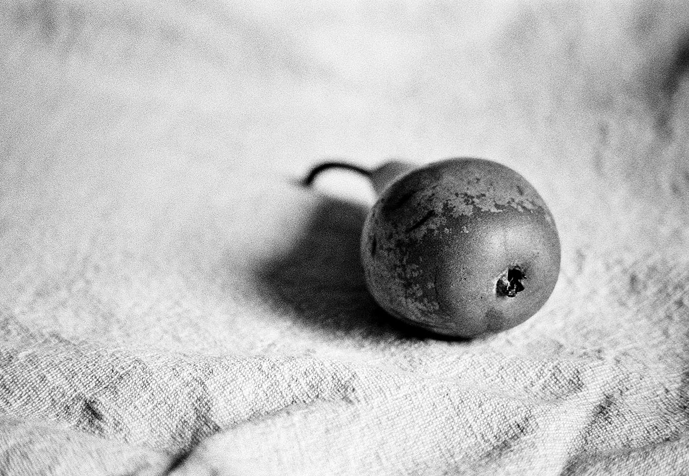 Still life with pears