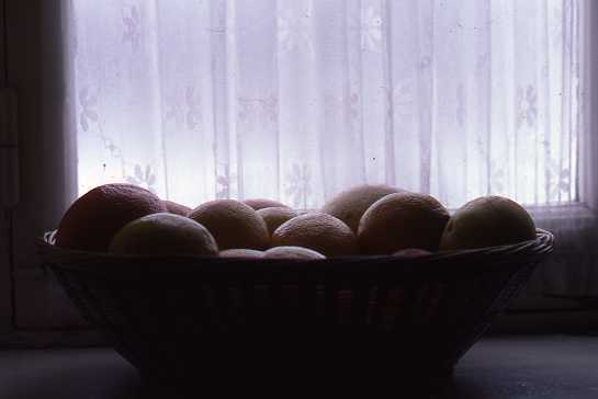 Still life
