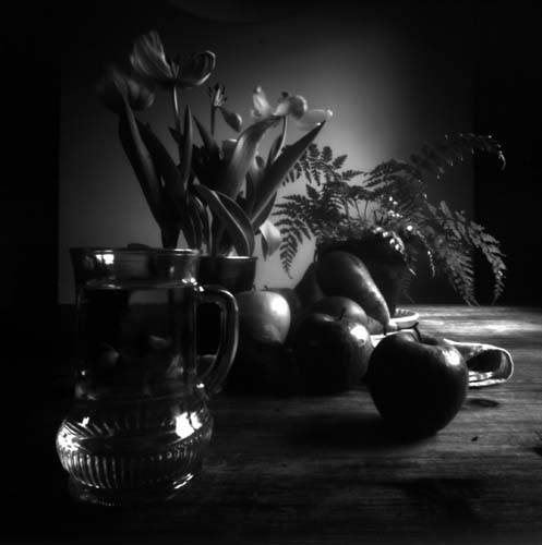 Still Life