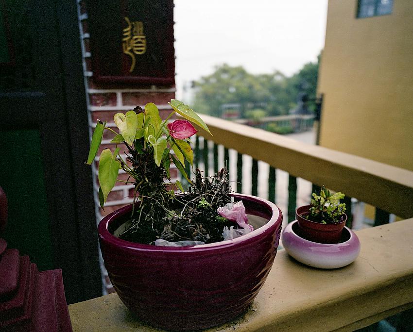 Still Life